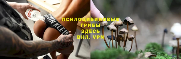ALPHA-PVP Горнозаводск