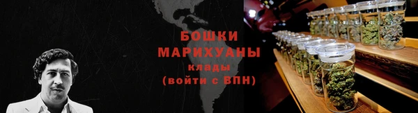 молекула духа Горно-Алтайск