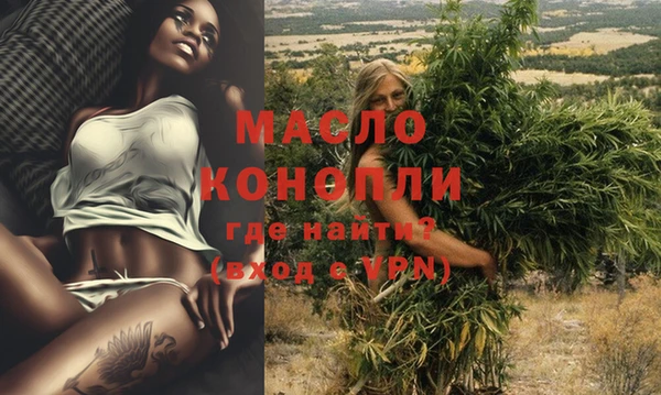 ешки Горняк